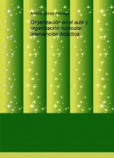 Libro Organización en el aula y organización curricular: intervención didáctica, autor andresefiescuela