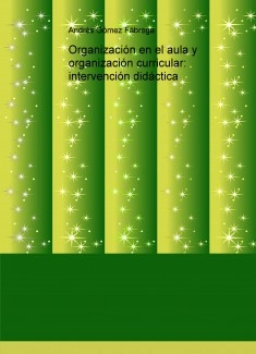 Organización en el aula y organización curricular: intervención didáctica