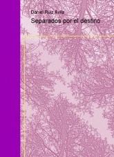 Libro Separados por el destino, autor danira