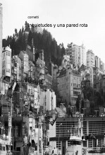 Libro Inquietudes y una pared rota, autor zutecisdead