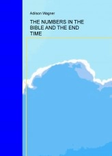 Libro THE NUMBERS IN THE BIBLE AND THE END TIME, autor adilsonwf