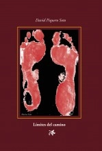 Libro Límites del camino, autor david piquero soto