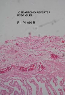EL PLAN B