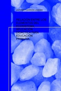 RELACIÓN ENTRE LOS ELEMENTOS DEL ECOSISTEMA, APLICACIÓN DIDÁCTICA PARA EDUCACIÓN PRIMARIA.