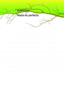 Nada es perfecto