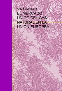 EL MERCADO ÚNICO DEL GAS NATURAL EN LA UNIÓN EUROPEA