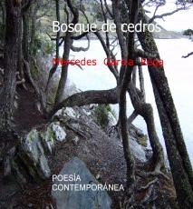 Bosque de cedros