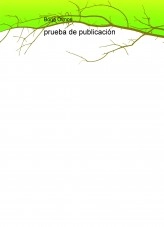 Libro prueba de publicación, autor borjaolmos