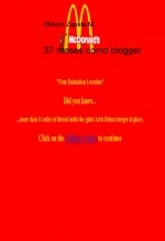 Libro 37 meses como blogger, autor mrplomo