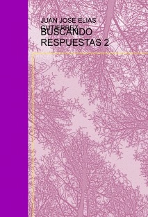 BUSCANDO RESPUESTAS 2