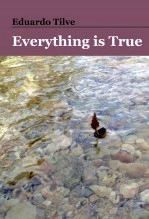 Libro Everything is True, autor Eduardo Tilve