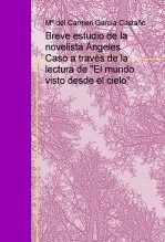 Breve estudio del estilo de la novelista Ángeles Caso, a través de la lectura de "El mundo visto desde el cielo"