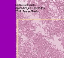 Aprendizajes Esperados 2011. Tercer Grado.