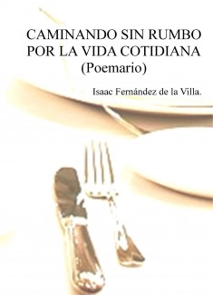 CAMINANDO SIN RUMBO POR LA VIDA COTIDIANA (Poemario)