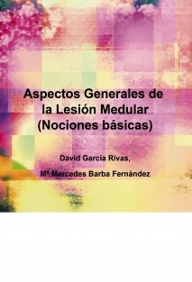 Aspectos Generales de la Lesión Medular (Nociones básicas)
