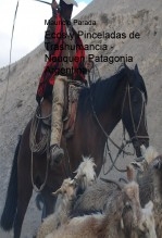 Ecos y Pinceladas de Trashumancia - Neuquen Patagonia Argentina