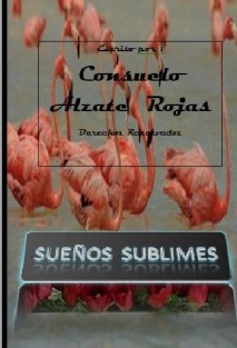 SUEÑOS SUBLIME