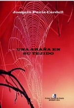 Una araña en su tejido