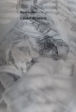 Libro Caudal de versos, autor Miguel Ángel Tapia López
