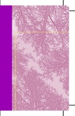 Libro Al-Mansur y el códice Calixtino, autor Julián Santos Herrera