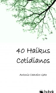 Cuarenta Haikus Cotidianos