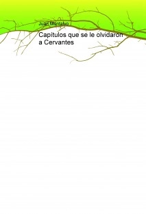 Capítulos que se le olvidaron a Cervantes