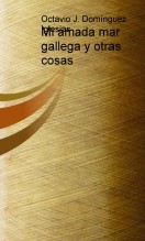 Mi amada mar gallega y otras cosas