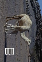 Libro Geografía del Sáhara Occidental, autor lhaidar