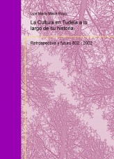 La Cultura en Tudela a lo largo de su historia