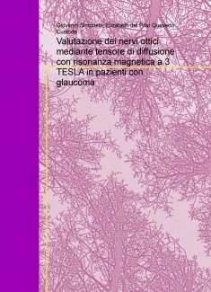 Valutazione dei nervi ottici mediante tensore di diffusione con risonanza magnetica a 3 TESLA in pazienti con glaucoma
