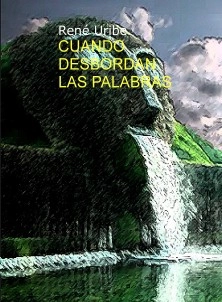CUANDO DESBORDAN LAS PALABRAS