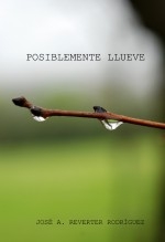 POSIBLEMENTE LLUEVE