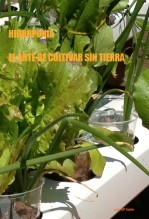 Libro HIDROPONIA ,El arte de cultivar sin tierra, autor Jose Mª Alarte Duart