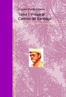 Tomo I. Prosa al Camino de Santiago.
