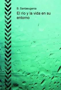 El río y la vida en su entorno
