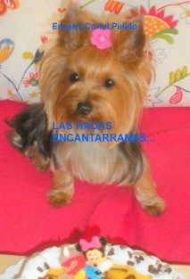 LAS HADAS ENCANTARRANAS