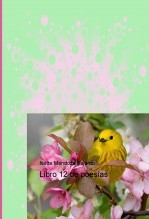 Libro 12 de poesías