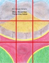 Libro Wins. November. Thirty-nine hours., autor Erik Vázquez Camacho