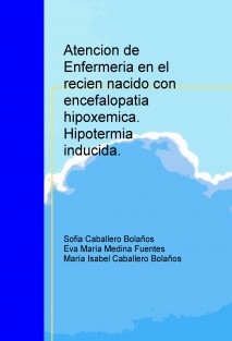 Atencion de Enfermeria en el recien nacido con encefalopatia hipoxemica: hipotermia inducida.