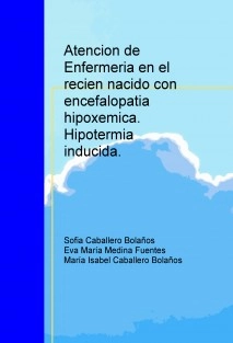 Atencion de Enfermeria en el recien nacido con encefalopatia hipoxemica: hipotermia inducida.