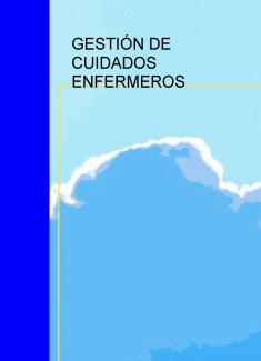 GESTIÓN DE CUIDADOS ENFERMEROS