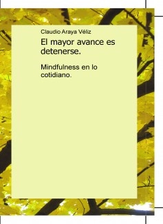 El mayor avance es detenerse, mindfulness en lo cotidiano.