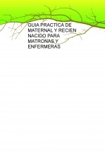 Libro GUIA PRACTICA DE MATERNAL Y RECIEN NACIDO PARA MATRONAS Y ENFERMERAS, autor pilar izagoñola ordoñez
