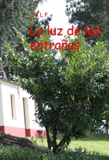 La luz de las entrañas