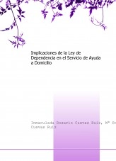 Libro Implicaciones de la Ley de Dependencia en el Servicio de Ayuda a Domicilio, autor doshermanas