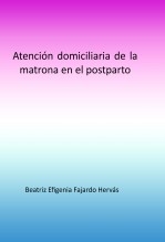 Atención domiciliaria de la matrona en el postparto