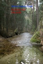Libro Suceso en Valsaín, autor Alberto Esparza Hueto