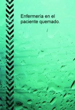 Libro Enfermería en el paciente quemado., autor pepa37