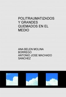 POLITRAUMATIZADOS Y GRANDES QUEMADOS EN EL MEDIO AERONAUTICO