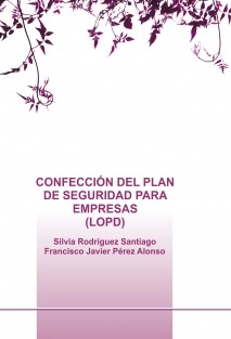 CONFECCIÓN DEL PLAN DE SEGURIDAD PARA EMPRESAS (LOPD)